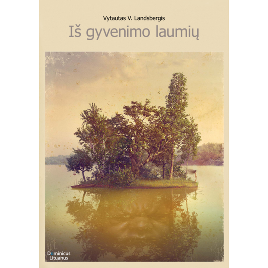 vandenyje laumes atspindys