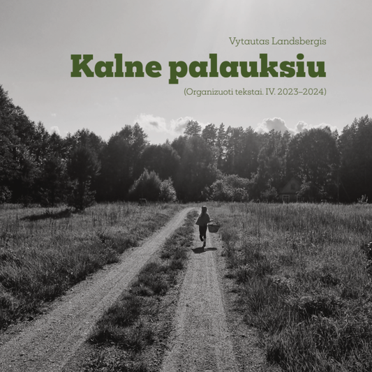 vaikas, begantis keliu kaime